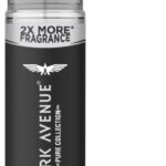 Park Avenue Trance Perfume Body Spray  –  For Men(135 Ml)