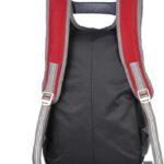 Right Choice New College Causal Bag Styish Stuff Quality Mercedes 10 L Backpack(Red)