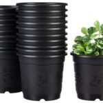 Amazon Brand – Solimo 100% Virgin Plastic Round Nursery Planter Pot | Indoor And Outdoor Flower Pot For Home/Office/Table/Garden/Balcony Decoration | 6 Inch (Set Of 20)