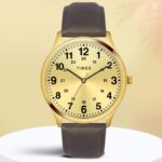 Timex Analog Watch  – For Men