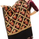 Radhe Products Wool Embroidered Women Shawl(Multicolor)