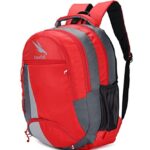 Dezful 36 L Casual Backpack With Laptop Compartment For School, College, Office Bag For Men Women Travel Backpack Water Resistant And Lightweight – Fly Red