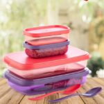 Porslin 4 Compartment Red And Violet Lunch Box Office, School. Collage Use 4 Containers Lunch Box(800 Ml)