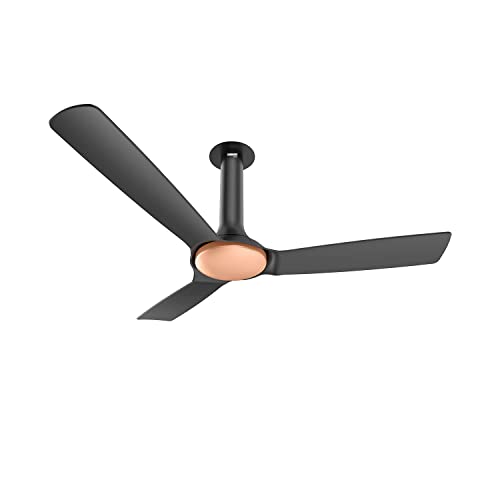 Rr Signature New York Chelsea 1200Mm Silent Ceiling Fan For Home And Office With Bee 3-Star Rating And 40% Energy Saving (3 + 2 Years Warranty, Merc Black Copper)