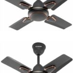 Candes Anti-Dust Ceiling Fan 3 Star 600 Mm 4 Blade Ceiling Fan(Coffee Brown | Pack Of 2)