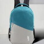 Roadster Large Historage Travel / Office / School 38 L Backpack(Blue, Grey)