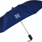 Eume Leatrix 21 Inch (53.34Cm) 2 Fold Auto-Open Umbrella(Blue)