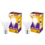 Ecolink 12 Watts Led Bulb |12-Watt Led Bulb For Room & Home | Bulb Base : B22, Colour : Cool Day Light, Pack Of 2