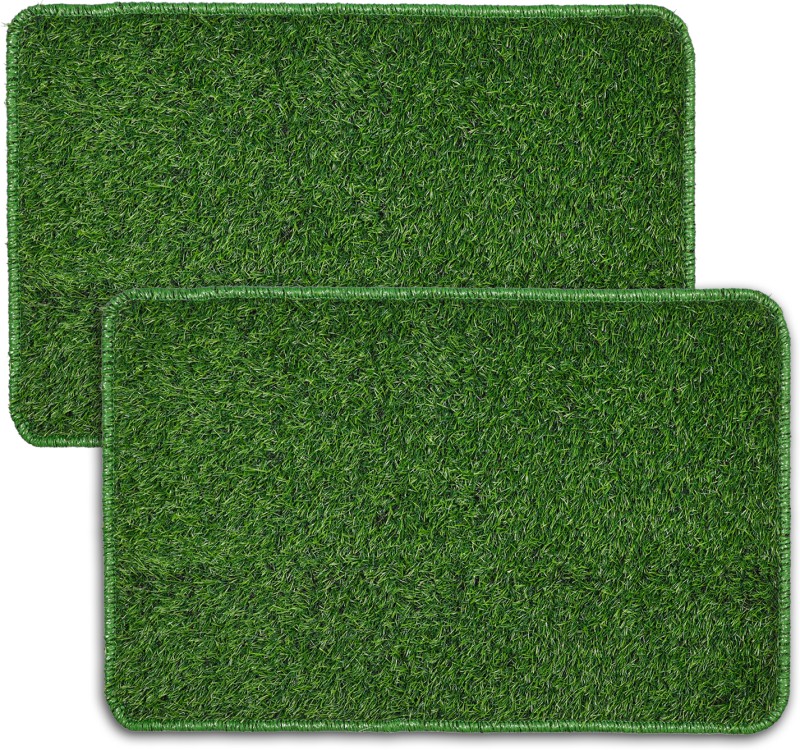 Status Artificial Grass Door Mat(Green, Small, Pack Of 2)