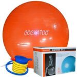 Cockatoo Anti Burst Gym Ball Gym Ball(With Pump)