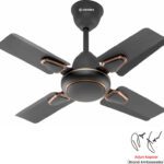 Candes Brio Turbo 600 Mm 4 Blade Ceiling Fan(Anti Dust | Brown | Pack Of 1)
