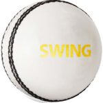 Dsc Swing Cricket Leather Ball(Standard, Pack Of 1, White, Gold)