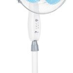 Rr Signature Centaur 400 Mm 3 Blade Pedestal Fan(Blue | Pack Of 1)