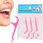 Stylewell Pack Of 1 ( 20 Pcs ) Dental Tooth Pick Flossers Cleaners Head Oral Dental Hygiene Brush Tooth Cleaning Tool(Pack Of 20)