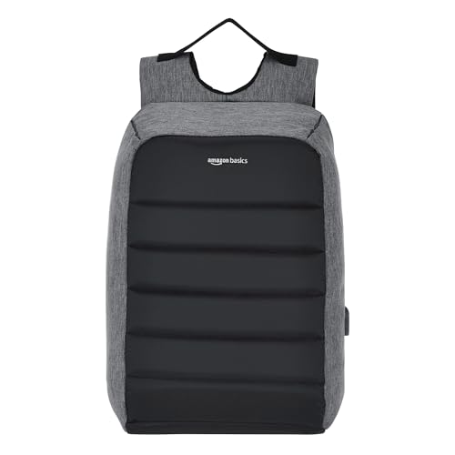 Amazon Basics 25L Anti Theft Design Laptop Backpack With 1 Compartment, Grey & Black