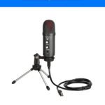 Gamma Audio Ga-Yr06 Shielded Cable Condenser Microphone With Tripod Stand,Usb Cable,Sponge