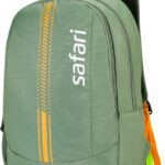 Safari Flick 26 L Backpack(Green)
