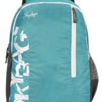 Skybags Brat 21.65 L Backpack(Green)