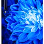 Haier 215 L Direct Cool Single Door 5 Star Refrigerator With Base Drawer With Large Storage Space1 Hour Icing Technology(Marine Dahelia, Hed-225Mdb-P)