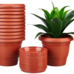 Amazon Brand – Solimo Round Pots For Plants With Bottom Tray|Lightweight|Indoor And Outdoor Flower Pot For Home/Office/Table/Garden/Balcony Decoration|8 Inch (Set Of 12), Brown