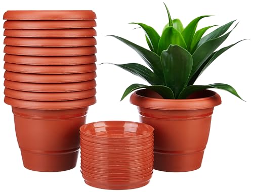 Amazon Brand – Solimo Round Pots For Plants With Bottom Tray|Lightweight|Indoor And Outdoor Flower Pot For Home/Office/Table/Garden/Balcony Decoration|8 Inch (Set Of 12), Brown