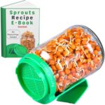 Sprouts Maker Glass Jar – 720Ml Durable & Reusable Sprouter For All Seeds And Beans, Bpa-Free With 300-Hole Mesh Lid For Airflow, Odor-Free, Easy Drainage, And Hygienic Glass Design – Green