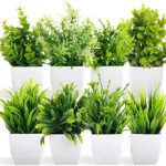 Dekorly Artificial Potted Plants, 8 Pack Artificial Plastic Eucalyptus Plants Small Indoor Potted Houseplants, Small Faux Plants For Home Decor Bathroom Office Farmhouse (Set 0F 8)