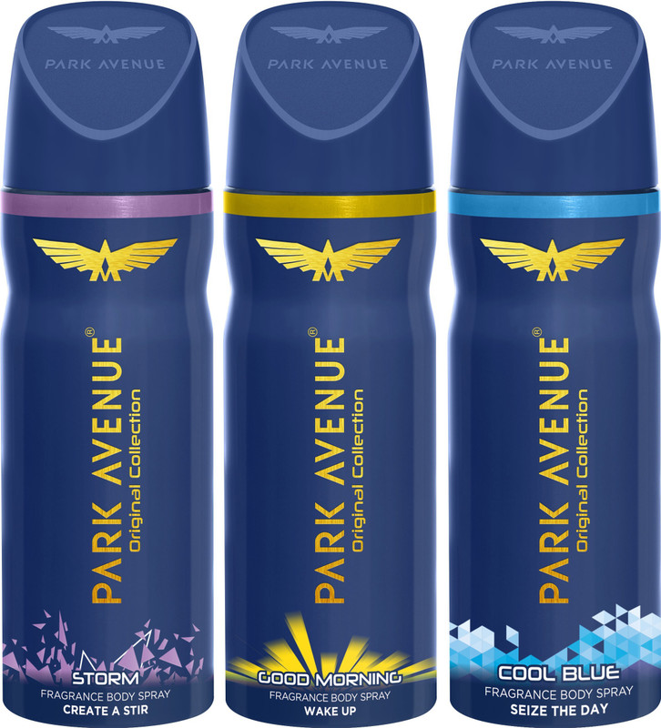 Park Avenue 1 Storm And 1 Cool Blue And 1 Good Morning Deodorant Combo For Men (Pack Of 3) Deodorant Spray  –  For Men(450 Ml, Pack Of 3)