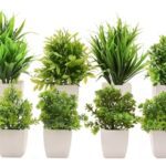 Mimicrops Artificial Plants With Pot 8 Pack | Realistic Looking | Multi Variety | Durable Plastic | No Maintenance | Home Decor | Dimensions: 5 Cm X 15 Cm (Pack Of 8)