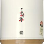 Digismart 5 Star 10 L Instant Water Geyser(Gold)