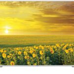 Lloyd Clara 126 Cm (50 Inch) Ultra Hd (4K) Led Smart Linux Based Tv(L50U1W0Iv)