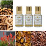 Menjewell Fragrances Mysore Sandle 18Ml (Itra/Attar/Sandalwood Perfume) Floral Attar(Sandalwood)