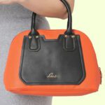 Lavie Women Orange Handbag