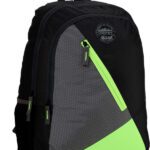 Gear Blocky 31 L Laptop Backpack(Multicolor)