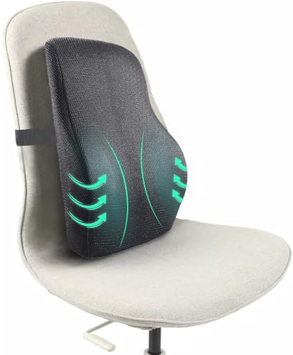 Sleepsia Lumbar Support Memory Foam Orthopedic Back Cushion – Back Rest Cushion For Car, Chair And Office Chair (17.5″ L× 15.5″ W × 5.5″ H) Black