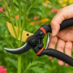 Heavy Duty 8-Inch Titanium Blade Gardening Scissor, Pruning Shears – Garden Scissors For Plants, Branches, Flowers & Shrubs | Plant Cutter, Secateurs, Garden Trimmer Tool (Titanium Blade, Black)