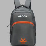 Wrogn Wrog_Bp_05 30 L Backpack(Grey)