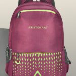 Aristocrat Polyester Men & Women 30 L Backpack(Maroon, Green)