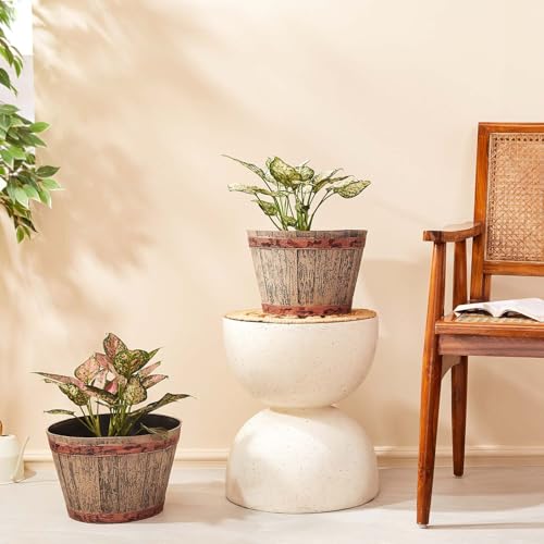 Amazon Brand- Solimo Indoor And Outdoor Round 14 Inch Barrel Flower Planter Pot Best For Terrace/Balcony/Home/Office Decor – Set Of 2