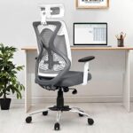 Da Urban® Merlion Office Chair,High Back Mesh Ergonomic Home Office Desk Chair With 3 Years Warranty, Adjustable Armrests,Adjustable Lumbar Support,Tilt Lock Mechanism (Grey)