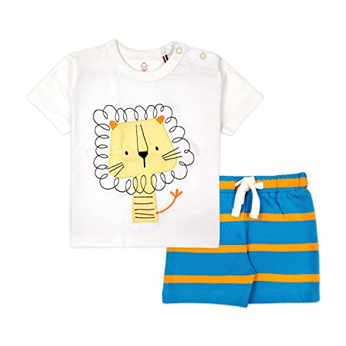 Ariel Baby Boys & Baby Girls Cotton Printed Round Neck Half Sleeve T-Shirt & Short Latest Summer Clothing Sets (Ar-Bhalfss-69-Katembblstr_Multicolor_6-9 Months)