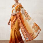 Beyond Borders Floral Print, Paisley, Printed Daily Wear Chiffon Saree(Multicolor)