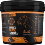 Beastlife High Protein Weight Gainer – No Maltodextrin | Cereal Based Extract Weight Gainers/Mass Gainers(5 Kg, Belgian Chocolate)