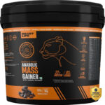 BeastLife High Protein Weight Gainer – No Maltodextrin | Cereal Based Extract Weight Gainers/Mass Gainers(5 kg, Belgian Chocolate)