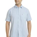 Allen Solly Mens Shirt Blue