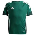 adidas TIRO25C TR JSYY Green