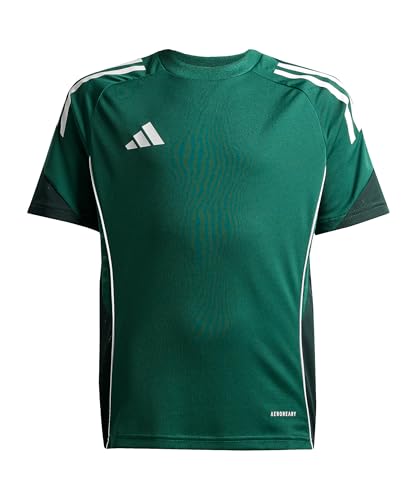 adidas TIRO25C TR JSYY Green