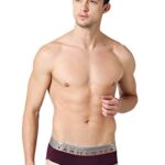 Van Heusen Men Briefs