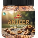 RAJVEER ENTERPRISES Premium Anjeer Natural Dry Fig for Healthy Snacking, Dried Anjeer for Dieting & Breakfast | Rich Source of Fibre Calcium, Iron Minerals | Perfect for Giftings (500g)