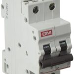 GM MCB 20A DOUBLE POLE ‘C’ TYPE